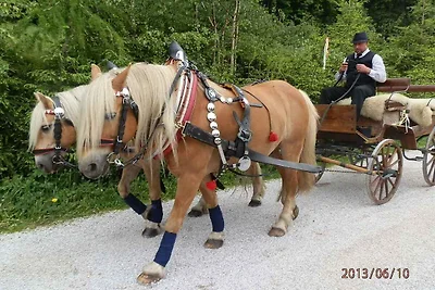 Ferienwohnung mit Garten