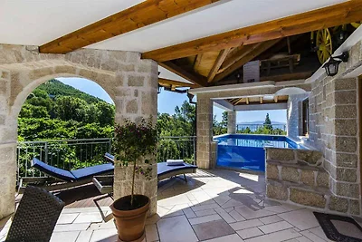 Ferienhaus mit Wellnes und Pool