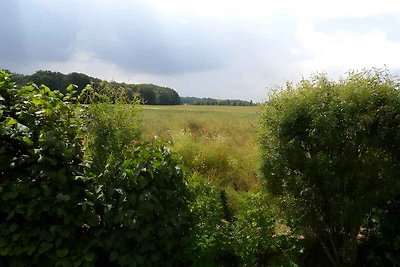 Ferienwohnung mit Garten, direkt im