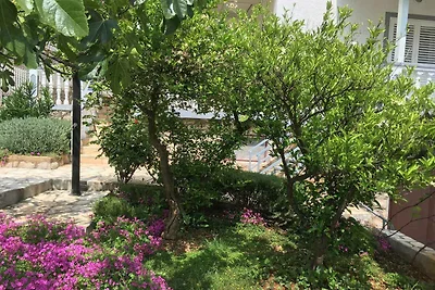 Vakantieappartement Gezinsvakantie Starigrad