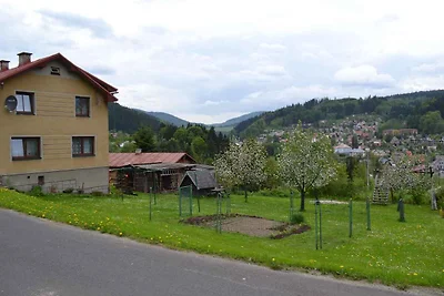 Ferienwohnung in der Nähe vom Skilift und