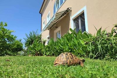 Ferienwohnung mit Internet, Klimaanlage, Terr
