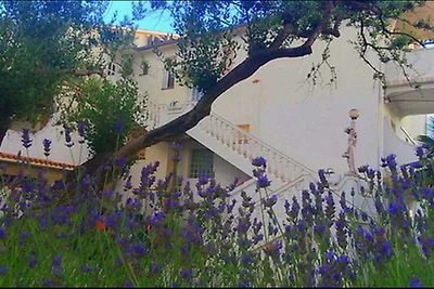 Ferienwohnung mit Meeresblick und Terrasse