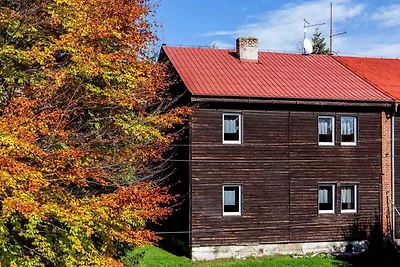 Ferienwohnung in Erzgebirge mit Möglichkeit