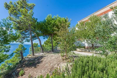 Vakantieappartement Gezinsvakantie Brela