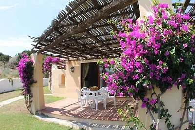 Ferienhaus mit Pool