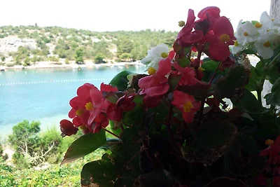 Appartamento Vacanza con famiglia Grebaštica