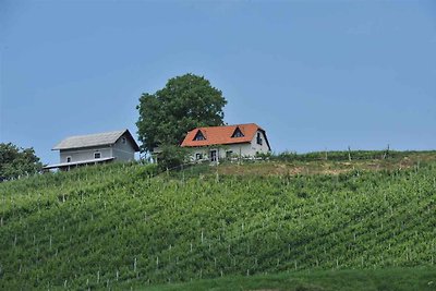 Ferienhaus mit Sauna und Grillmöglichkeit