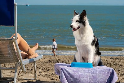 Ferienwohnung auf der Insel Albarella