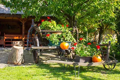 Appartamento Vacanza con famiglia Heviz