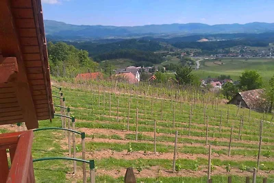 Ferienhaus im Weinberg