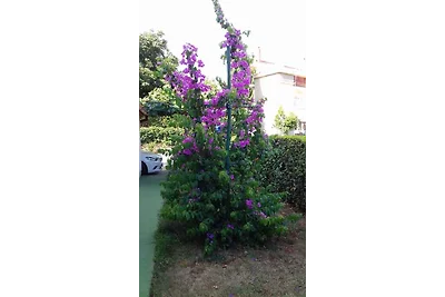 Ferienwohnung mit Klimaanlage