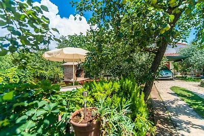 Ferienwohnung mit Terrasse