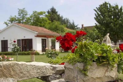 Ferienhaus mit schönem Garten