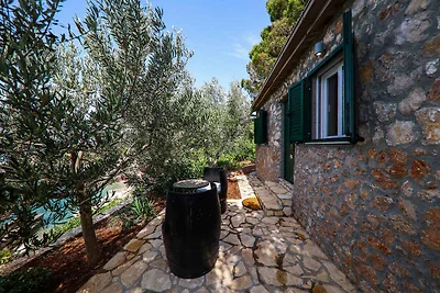 Casa vacanze Vacanza di relax Trstenik