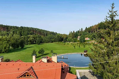 Ferienhaus mit luxuriöse und aussergewöhnlich