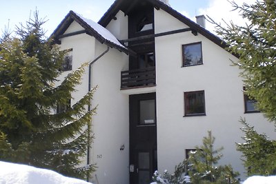 Ferienwohnung im Skigebiet