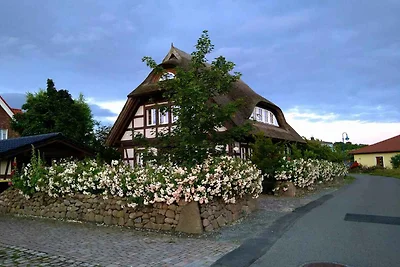 Casa vacanze Vacanza di relax Dranske