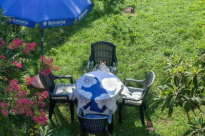 Vakantieappartement Gezinsvakantie Biograd na Moru