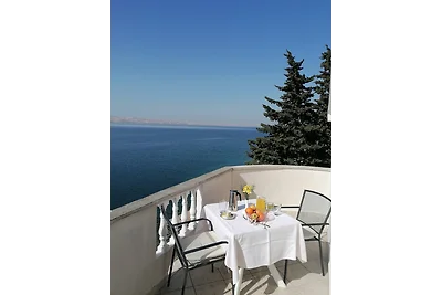 Appartamento Vacanza con famiglia Barić Draga