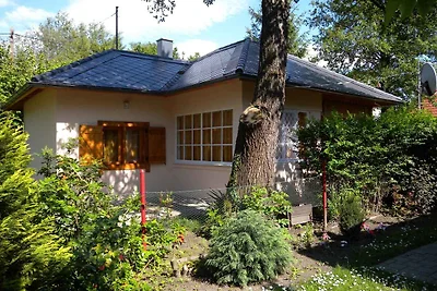 Vakantiehuis Ontspannende vakantie Balatonfenyves