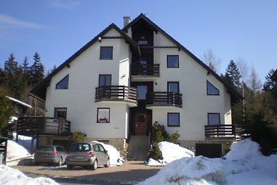 Ferienwohnung im Skigebiet