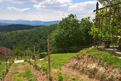 Ferienhaus im Weinberg