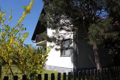 Vakantiehuis Ontspannende vakantie Balatonfenyves
