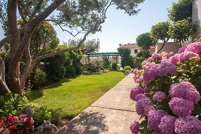 Ferienwohnung mit Terrasse
