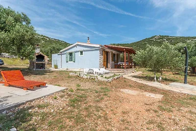 Ferienhaus mit Grill, am Meer