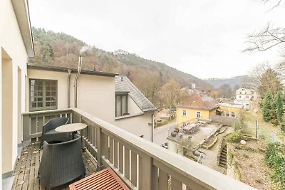 Vakantieappartement Gezinsvakantie Bad Schandau