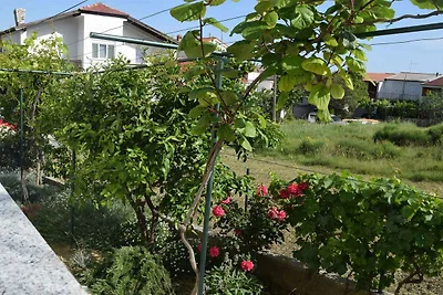 Ferienwohnung mit Klimaanlage