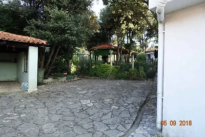 Ferienwohnung 300 m zum Strand
