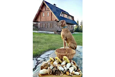 Ferienhaus in ruhige Lage mit rustikale