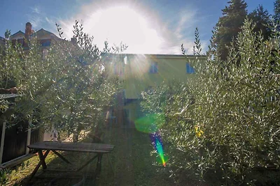 Appartamento Vacanza con famiglia Njivice