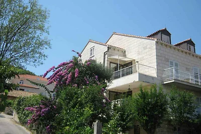Holiday flat family holiday Dubrovnik & Vicinity