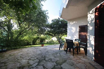 Ferienwohnung mit 20 qm grosser Terrasse