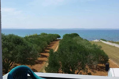 Appartamento Vacanza con famiglia Privlaka