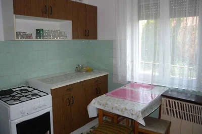 Vakantiehuis Ontspannende vakantie Balatonfenyves