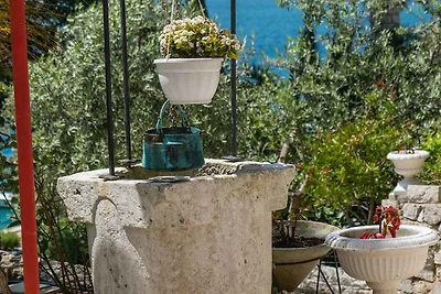 Ferienwohnung Gardenia B4