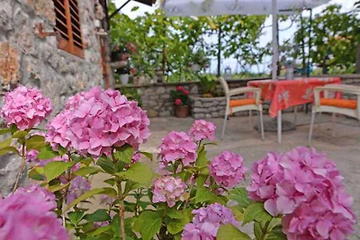 Appartamento Vacanza con famiglia Veli Losinj