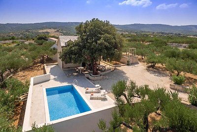 Villa mit Pool und grossen Garten
