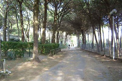 Holiday flat family holiday Eraclea Mare