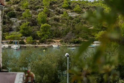 Appartamento Vacanza con famiglia Grebaštica
