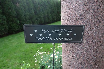 Ferienwohnung mit Internet