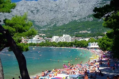 Ferienwohnung 100 m von der Adria entfernt