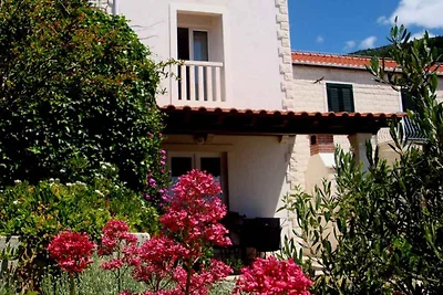 Appartamento Vacanza con famiglia Bol