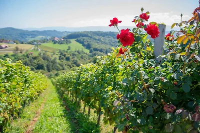Ferienhaus mit schöner Aussicht