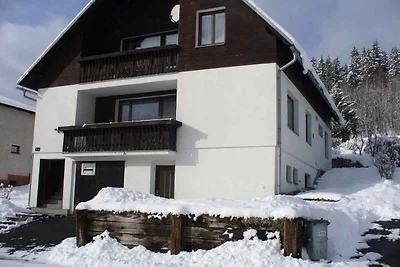 Ferienwohnung im Skigebiet auf