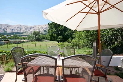 Ferienwohnung mit Terrasse und Grill